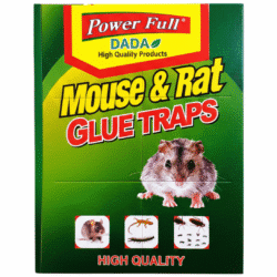 Dada Rat Glue Trap